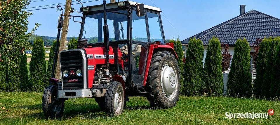 MF 255 ciągnik MasseyFerguson Ursus 3512 2812 Przeworsk