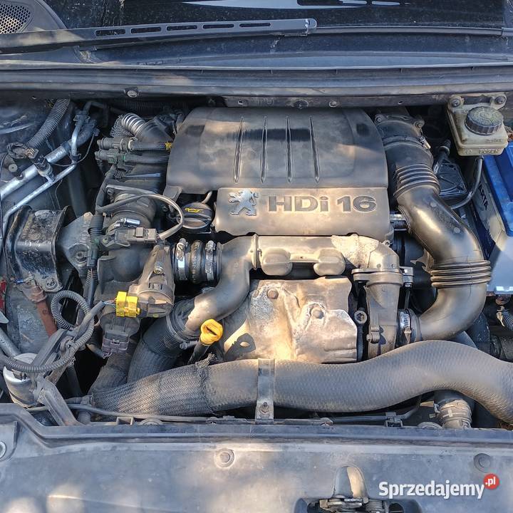 Silnik 16 hdi tdci Diesel Peugeot Ford Citroen sprzedam