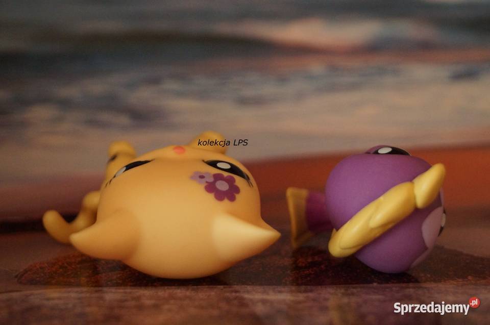 LPS Littlest Pet Shop shorthair 1962 oryginalny CE  śląskie Rybnik sprzedam