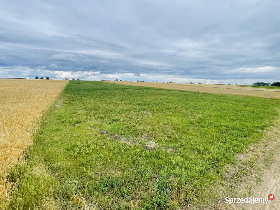 Działka rolnobudowlana 312ha Zostań rolnikiem Kuflew sprzedam