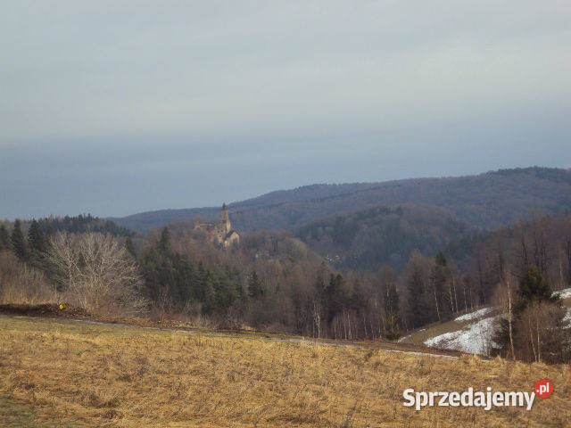 Dom wolnostojący Niedźwiedzica 500m2 Sprzedaż dolnośląskie