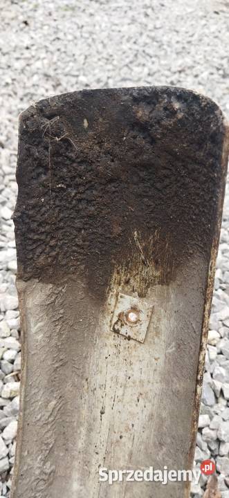 Błotnik płytki ptaki WSK Bąk kos gil lelek Dudek Maruszów