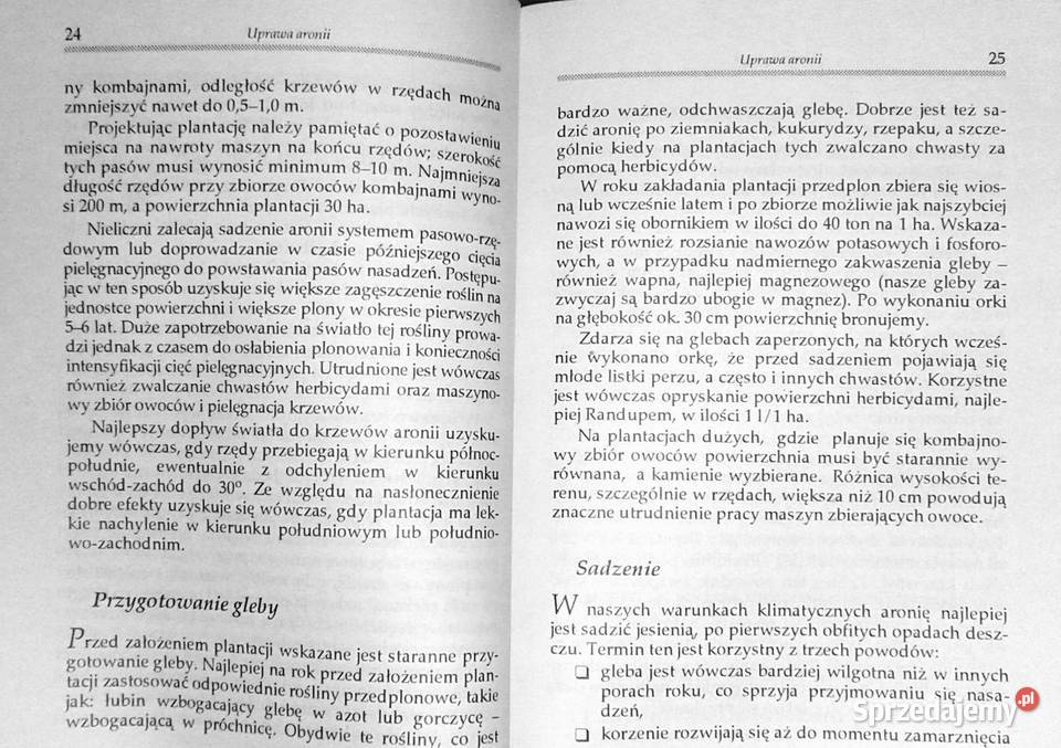 Aronia czarnoowocowa Zbigniew Laurow miękka Chełm