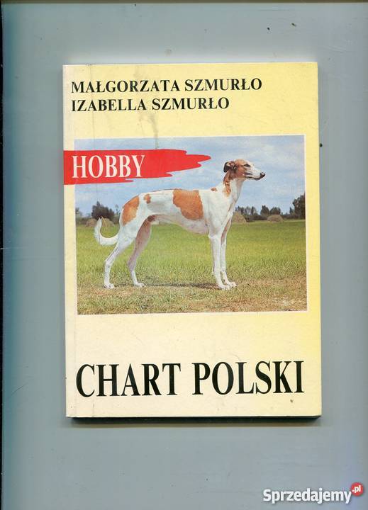 Chart Polski Szczecin