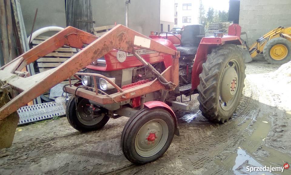 Sprzedam massey ferguson 165 Warzno sprzedam