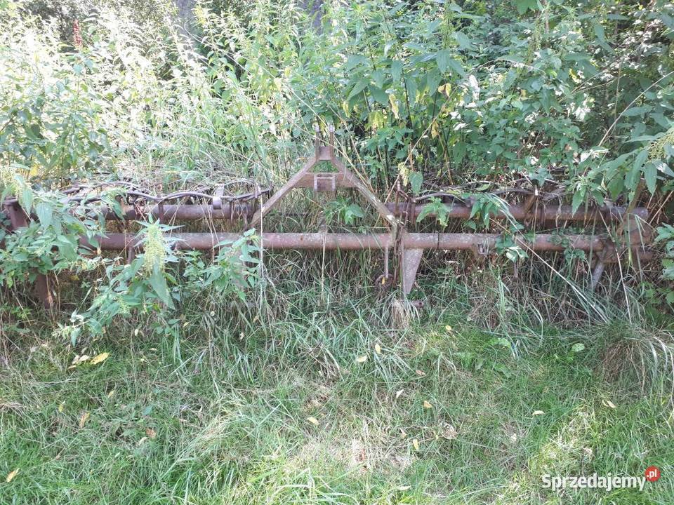 Brona polowa zebata opolskie