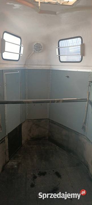 Przyczepka do koni 910 Orzysz sprzedam