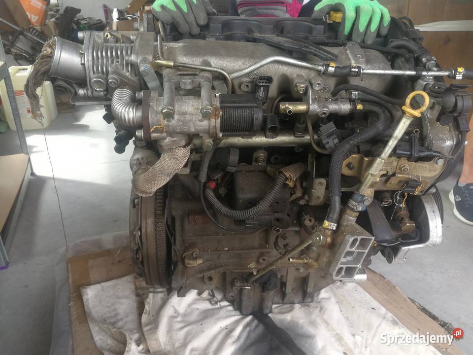 Zawór EGR alfa romeo 156 19JTD osobowe Chojnów sprzedam