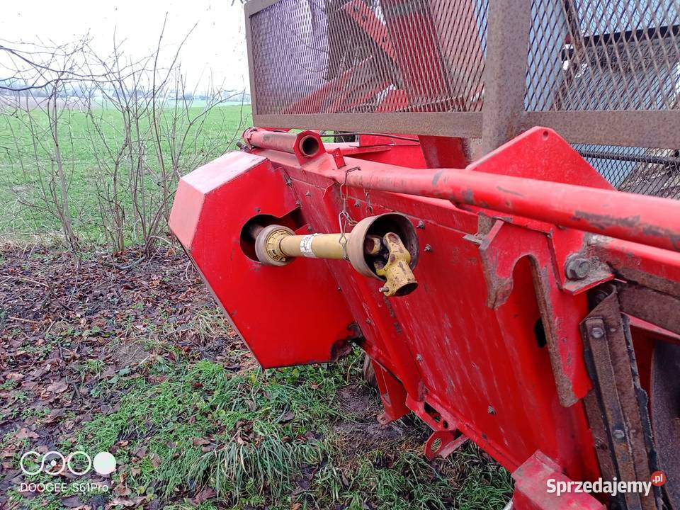 Heder do słonecznika massey ferguson 34 32 36 Massey Ferguson Lublin sprzedam