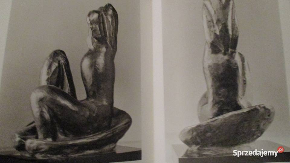 Album Henri Matisse Matisse malarstwo Picasso łódzkie Łódź