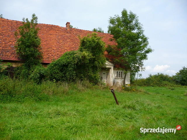 Gospodarstwo rolne zabudowania pole 598 h