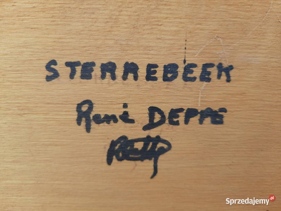 obraz sygnowany wielkopolskie Mielnica Duża sprzedam