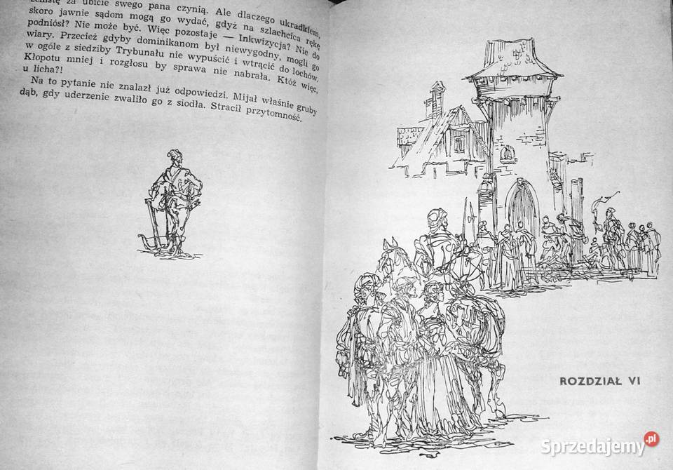 Czerwony sokół Mściciel przypływa z Rugii lubelskie Chełm