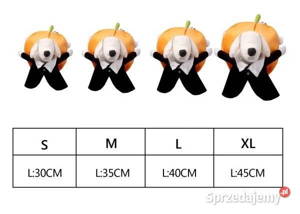 Strój ubranko dynia Halloween psa przebranie Bolesławiec