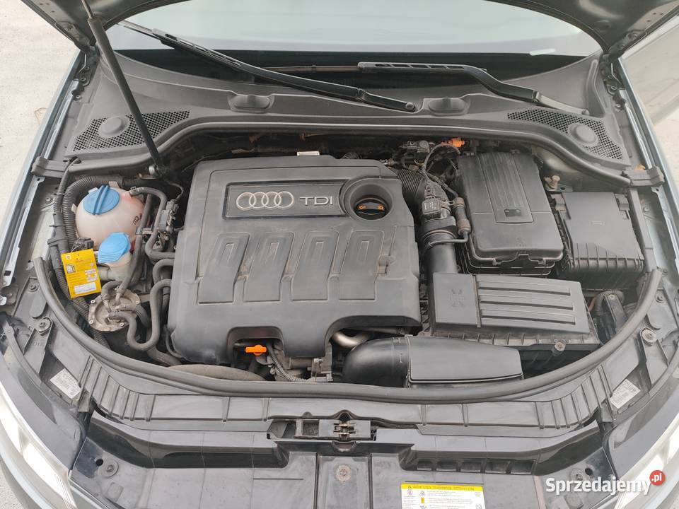 Audi A3 8P 2012 16TDI LedXen Panorama Hak Lublin
