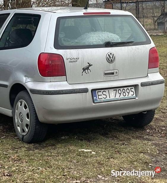 Volkswagen Polo Złoczew