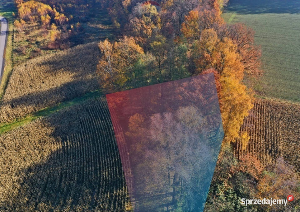 Bajkowa Działka w pięknym otoczeniu Osiek