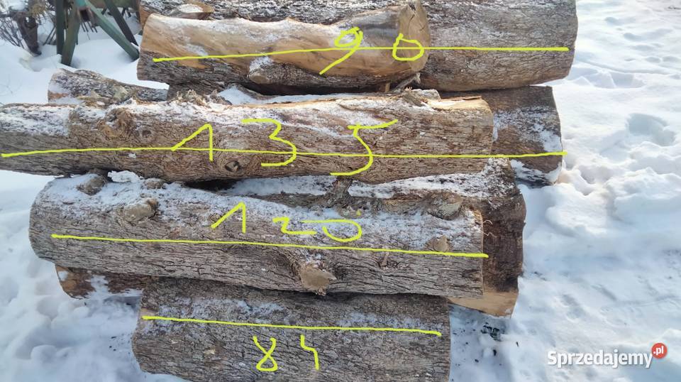 Oliwkadeskiplastry pieńki podkarpackie Mielec