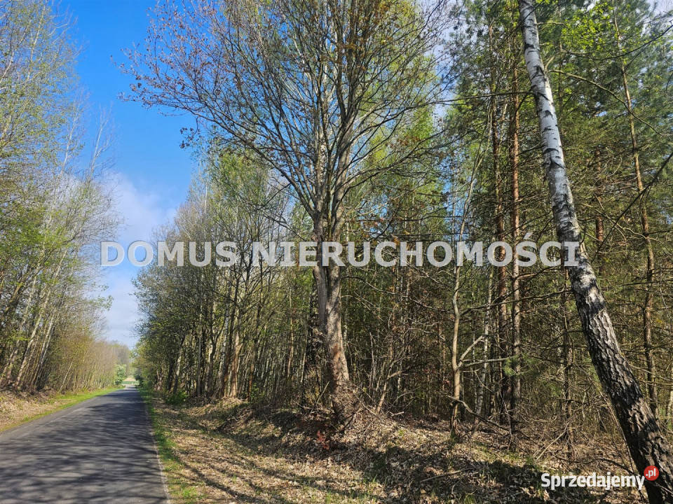 sprzedaży gruntu Teklin 6800m2 siedliskowa