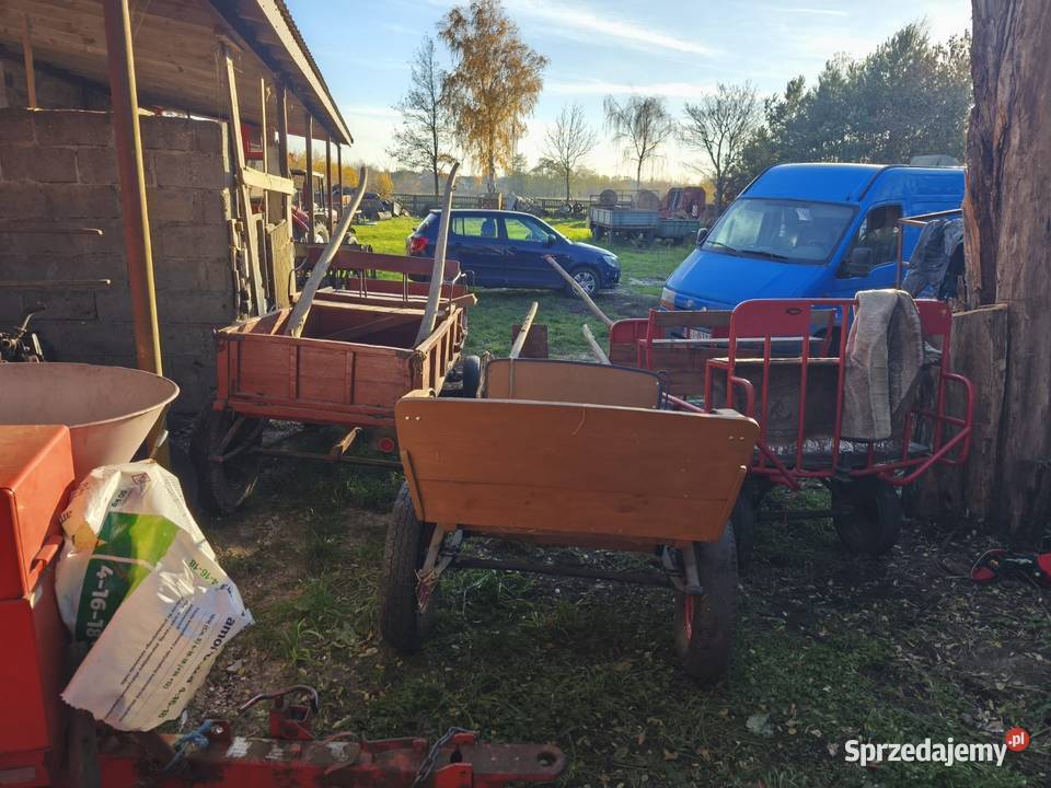 Sprzedam bryczka kucyka Proboszczowice