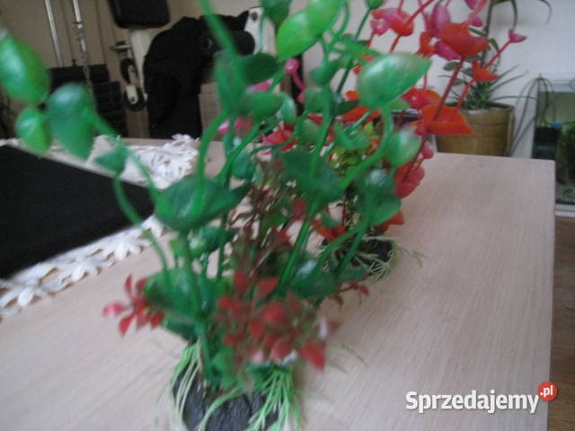 Roślinki akwariowe sztuczne Częstochowa