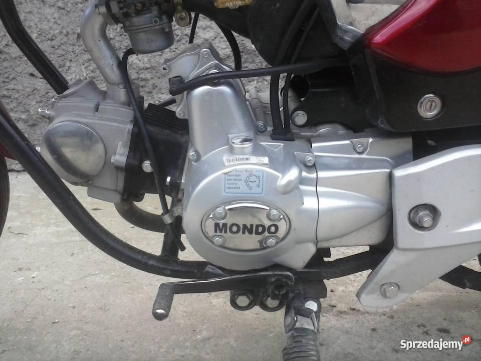 Mondo Raider garażowany Roszki