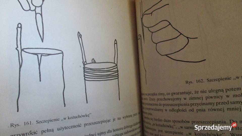 Działka moje hobby działka ogród ogrodnictwo Łódź