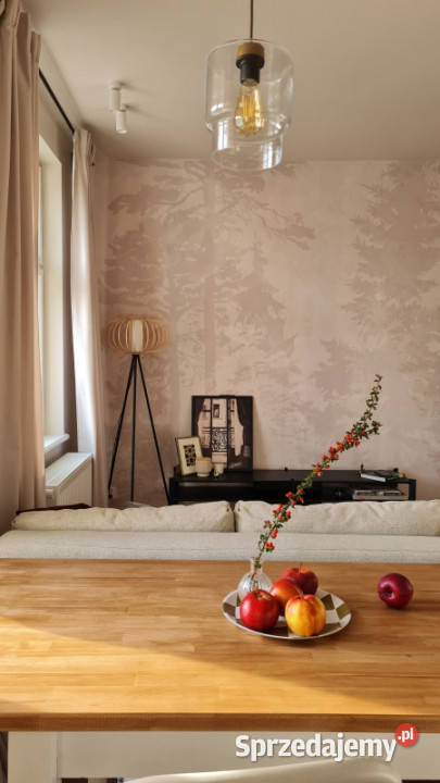 Stylowe 3pokojowe mieszkanie stworzone warmińsko-mazurskie Elbląg