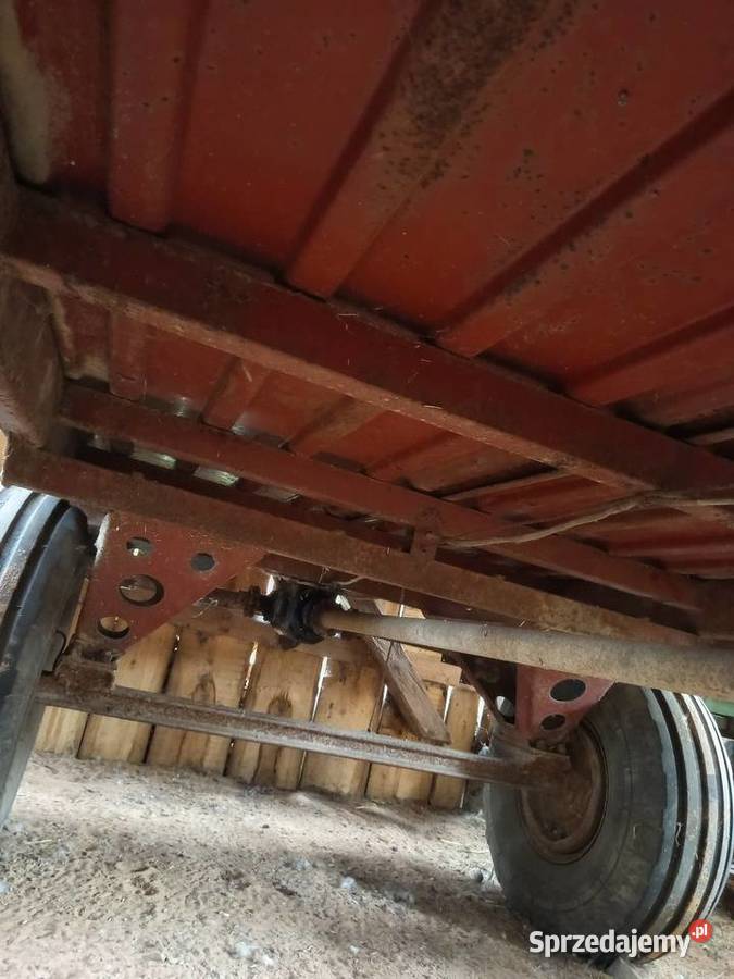 Rozrzutnik ruski solidny 4T Rou4 Baćkowice