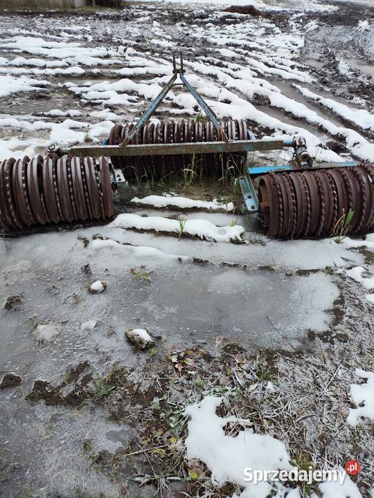 Wał posiewny Cambridge Włoszczowa
