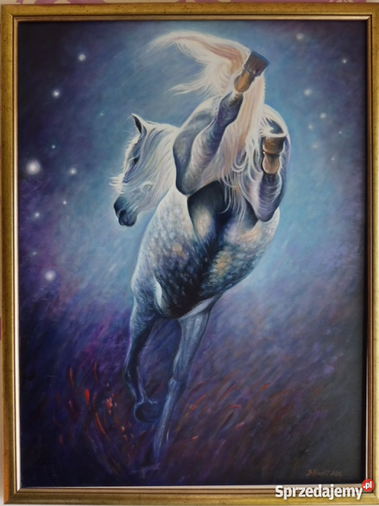 Koń Andaluzjanolej80x60 Kraków