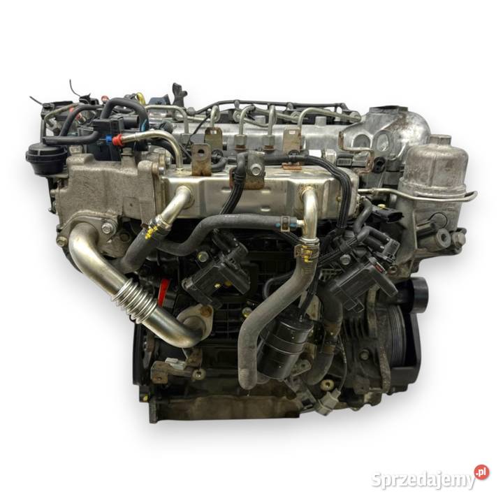 SILNIK Z22D1 Opel Antara Chevrolet Captiva 22 Chełm