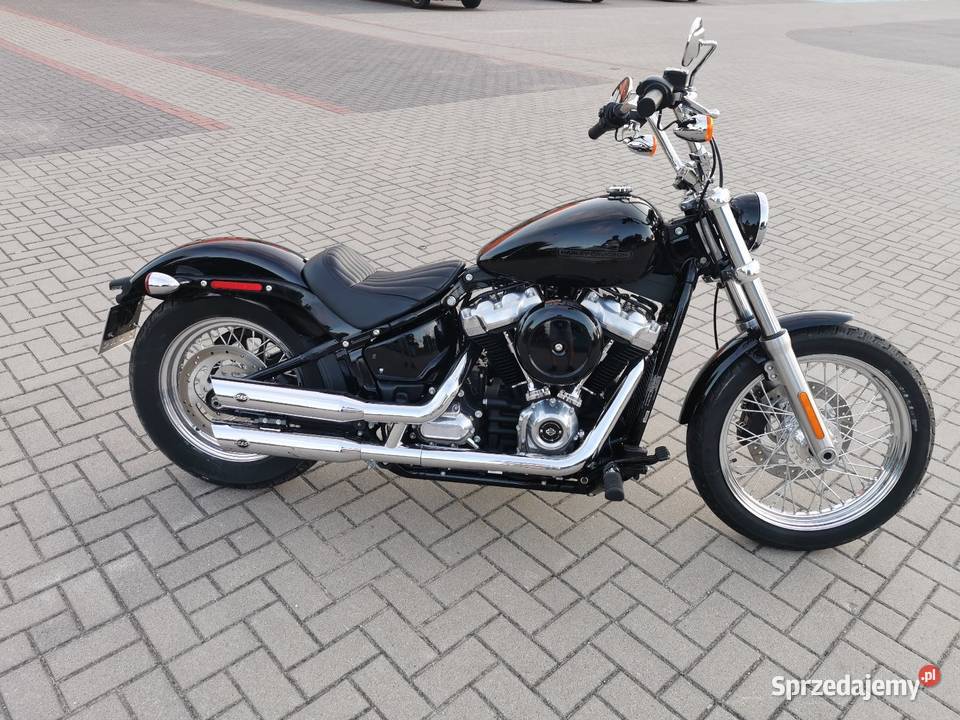 HarleyDavidson Softail Standard Motoryzacja podlaskie