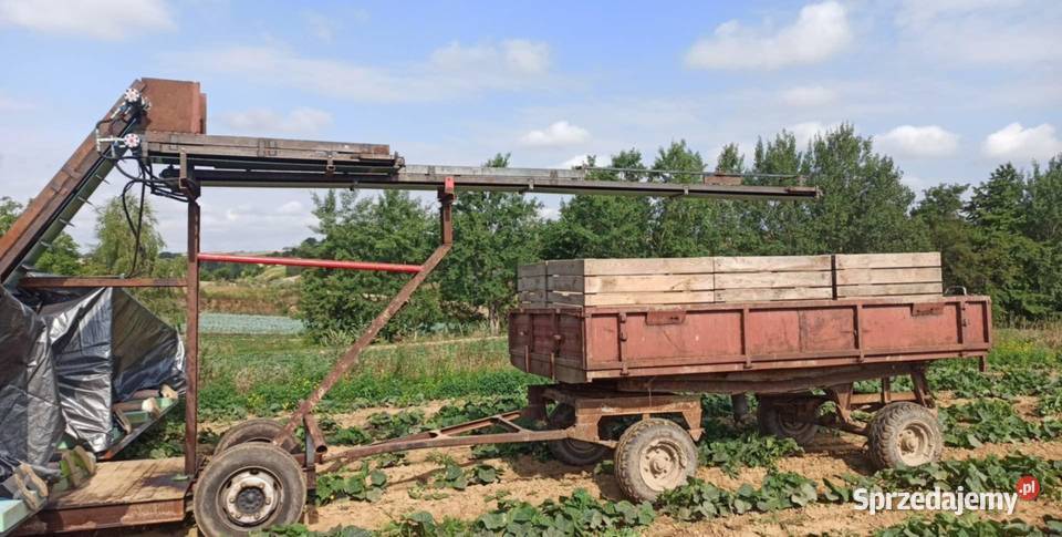 Samolot do zbioru ogórków małopolskie Charsznica