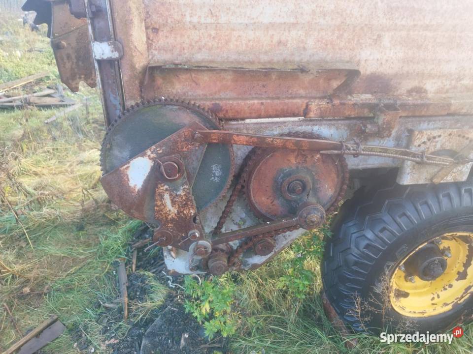 Rozrzutnik warmińsko-mazurskie