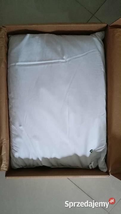 Poduszka Plantule Pillows 60x45 łuska gryki beżowy Łodygowice