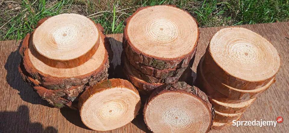 Plastry drewna 60sztuk 1015 krążki drewniane Wrocław