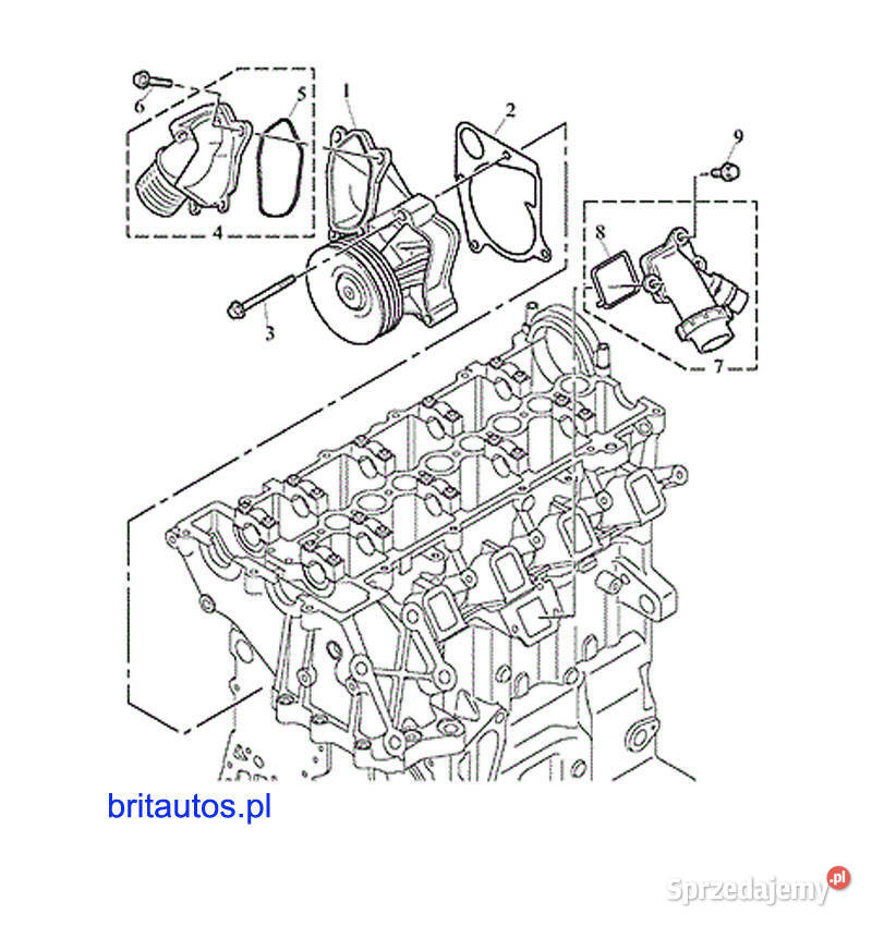 USZCZELKI KRÓĆCA COOLANT ELBOW ORING SEAL SET Poznań