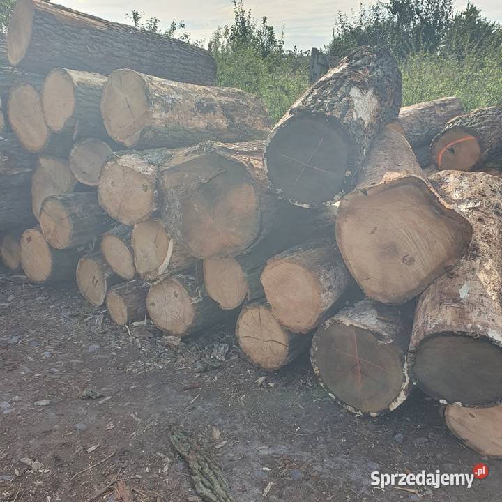 Drewno dąb dębowe wałki opałowe kominkowe Ostrów Wielkopolski