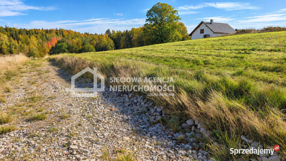 Grunt do sprzedania 1195m2 Prokowo sprzedam