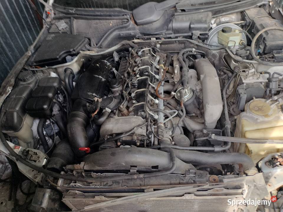 w210 e320 CDI avantgarde Silnik na Części Gniezno sprzedam
