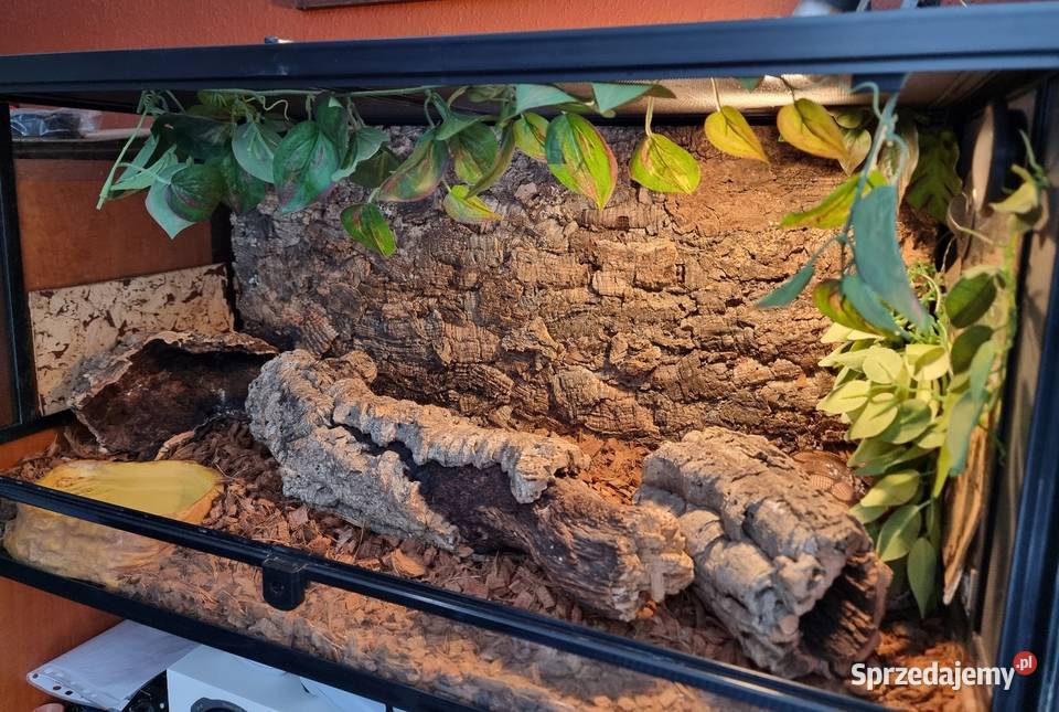 Terrarium Reptii Zoo 9045 z wyposażeniem Opole