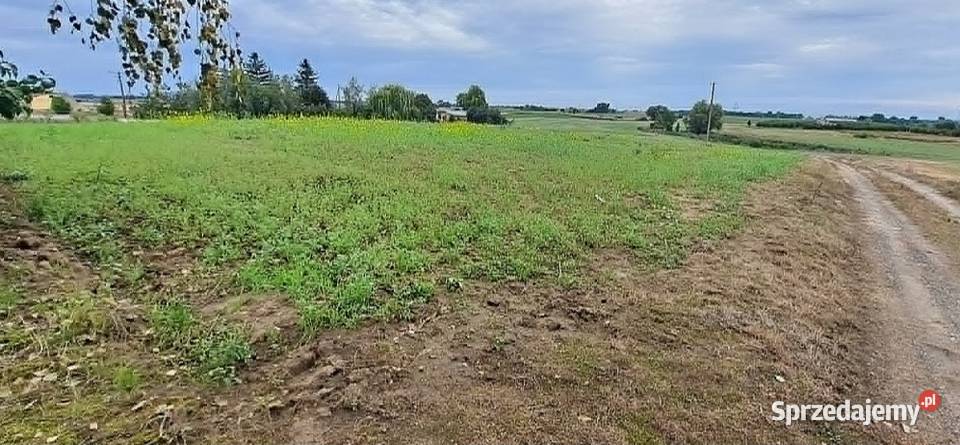 Sprzedam Nieruchomość kujawsko-pomorskie Włocławek
