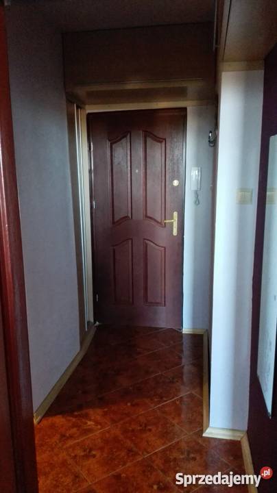 słoneczne mieszkanie w bloku Ruda Śląska Nowy miejsce parkingowe Ruda Śląska