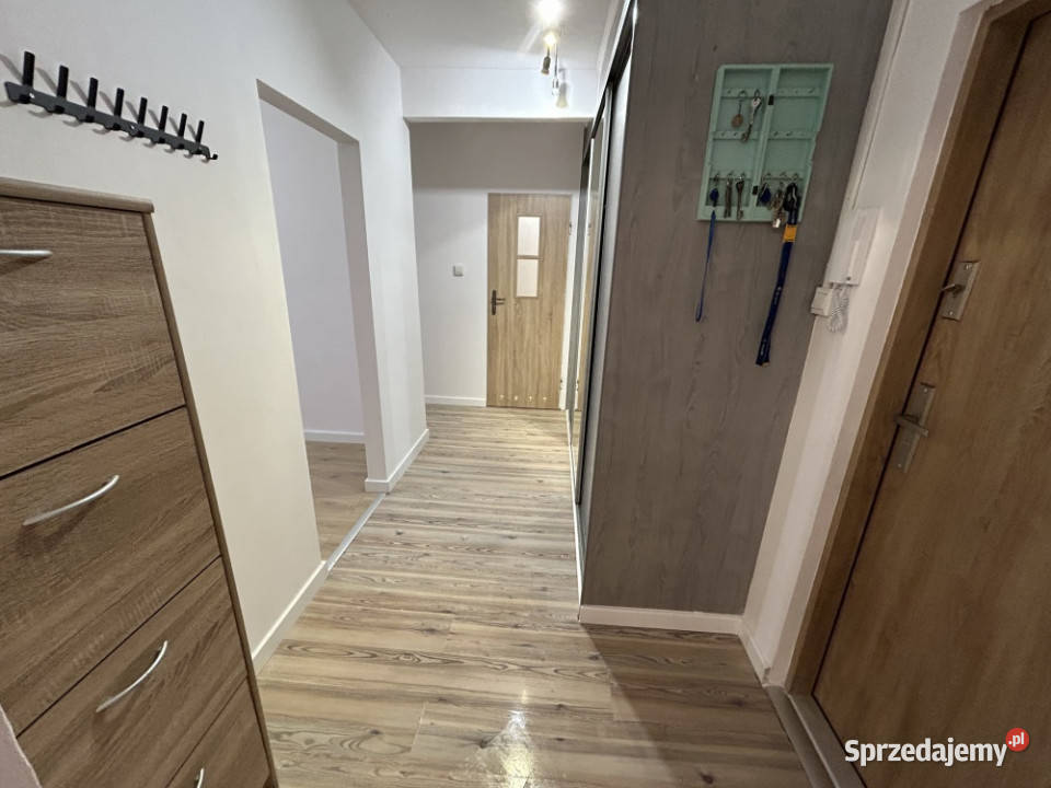 Mieszkanie 2 pokoje na sprzedaż Police Ludwika sprzedam