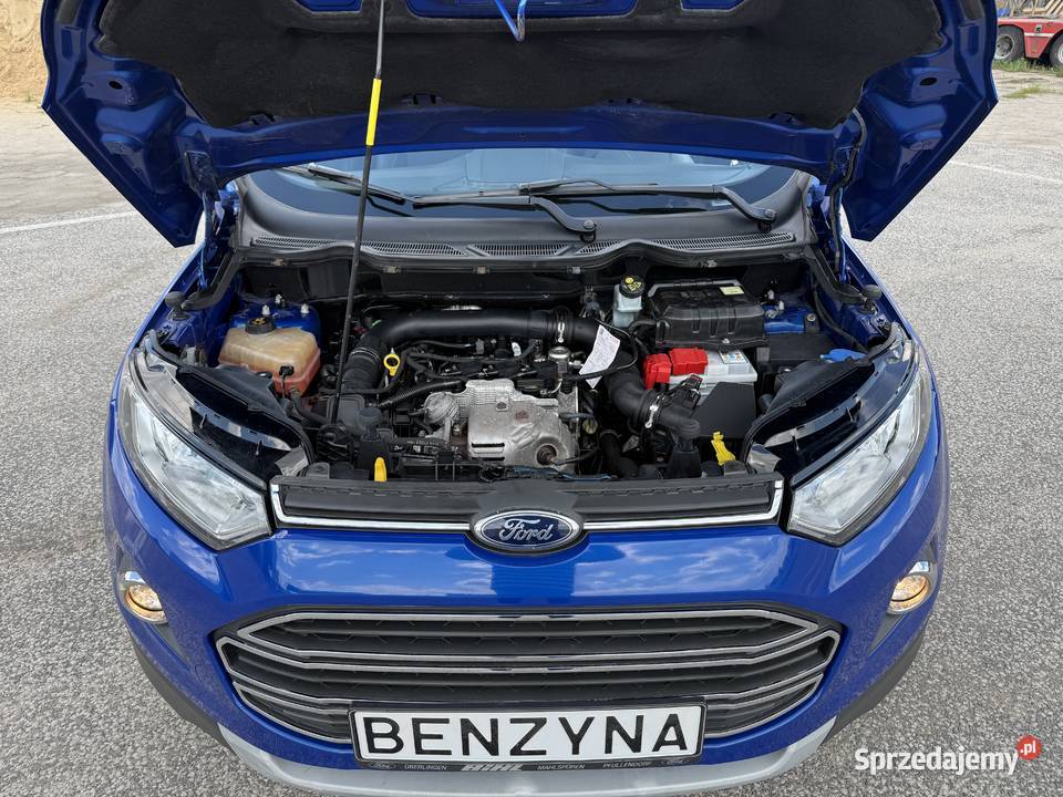 Ford EcoSport BENZYNA Klimatronik Tempomat Ledy centralny zamek wielkopolskie Konin