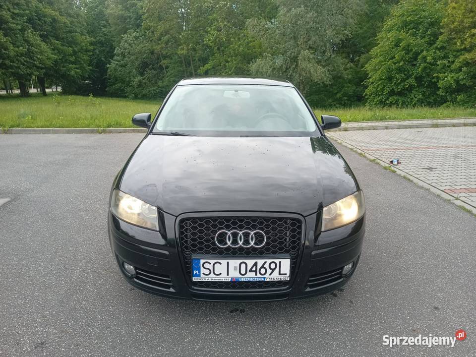 Audi A3 8P 19 TDI DPF śląskie Pogwizdów