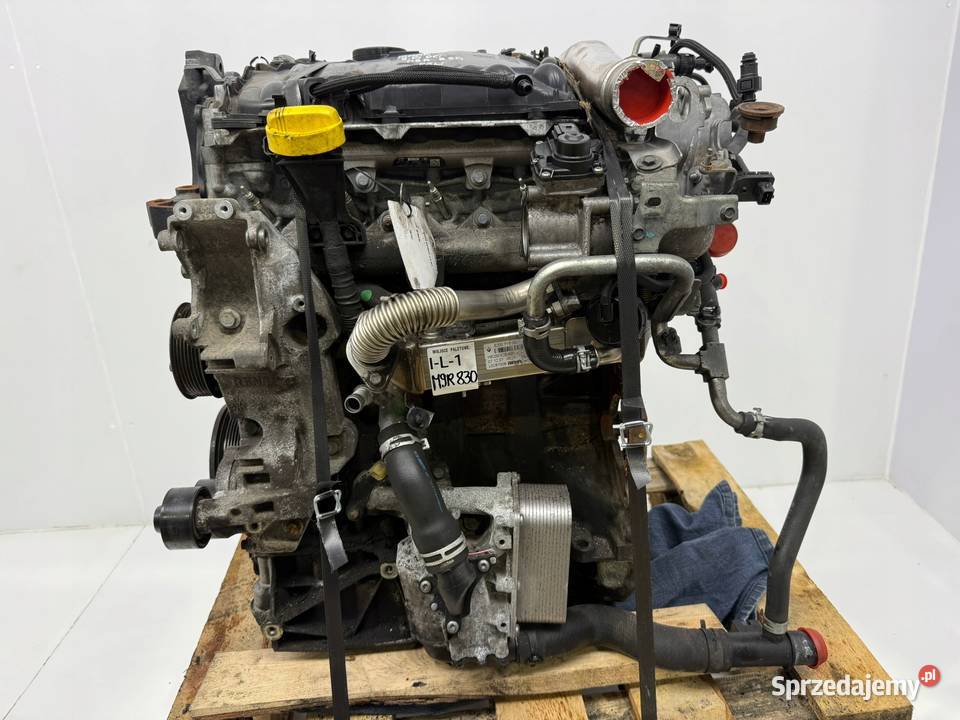 SILNIK M9R830 Renault Koleos Nissan XTrail X Chełm sprzedam