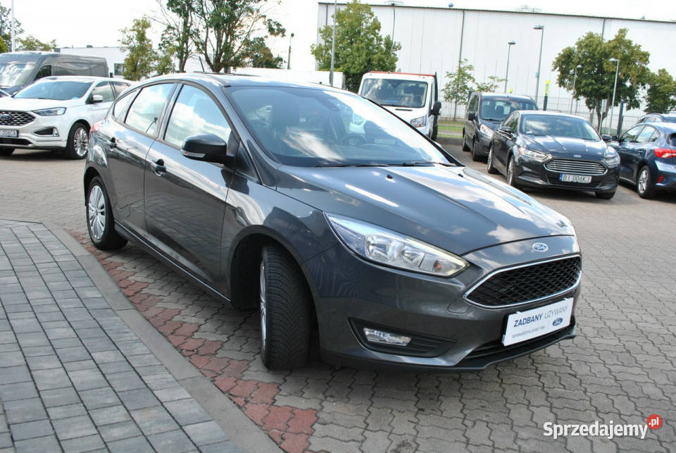 Ford Focus Hatchback GoldX 16 Benzyna 105 ASO