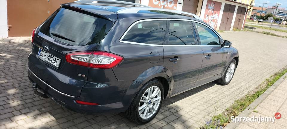 Sprzedam pięknego mondziaka Lębork sprzedam